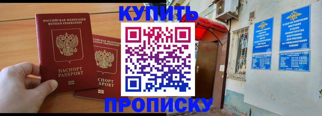 прописка штамп в Кировске